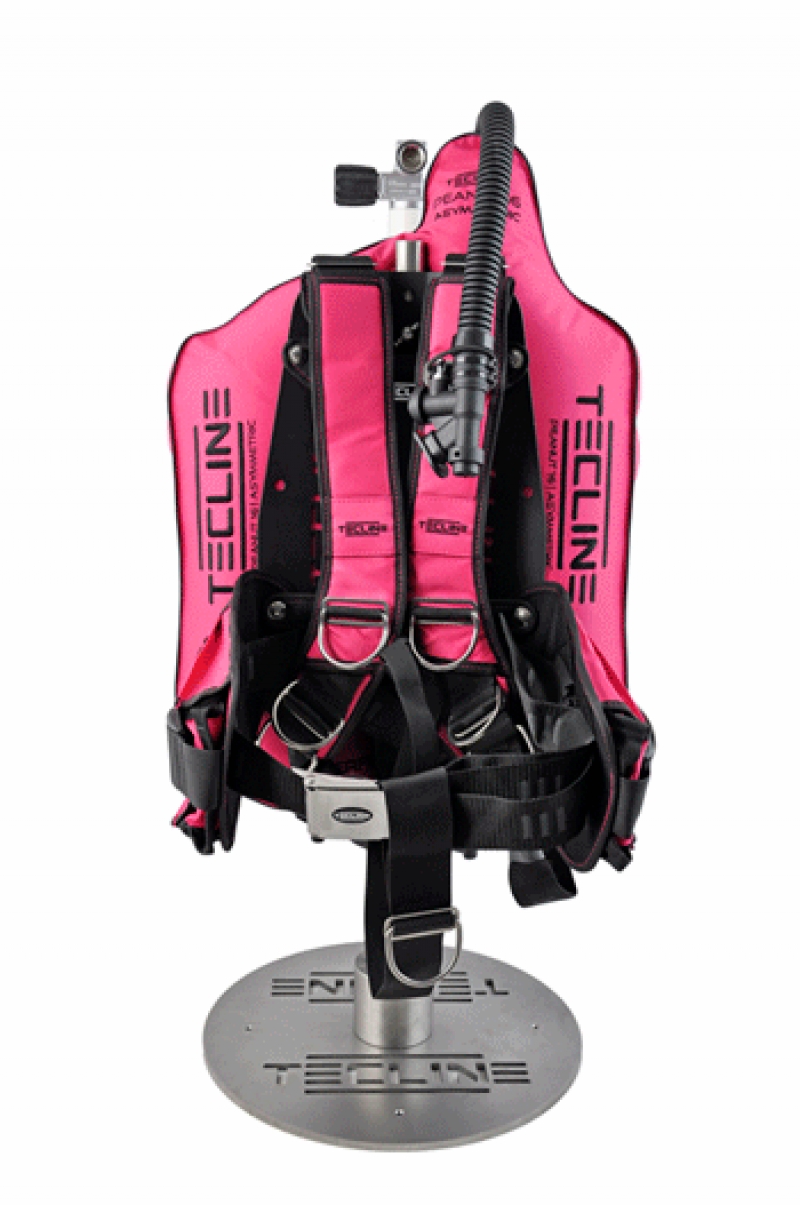 SET Peanut 16 LADY CONFORT ROSE