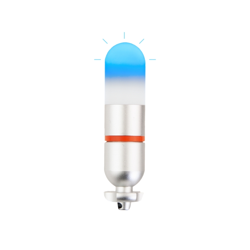 Flashlight - blue